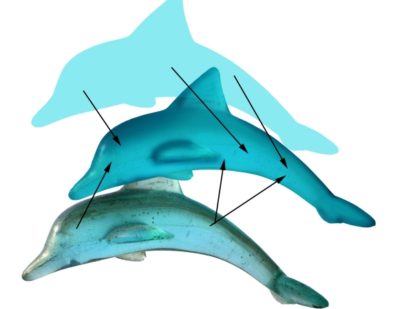 Creation of Cheese Worshiping Dolphins : Step 7